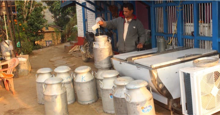 Dairy farmers lose as sales drop in Nepal