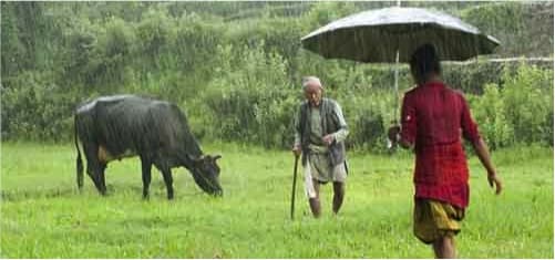 Very Low correlation between milk production and monsoons