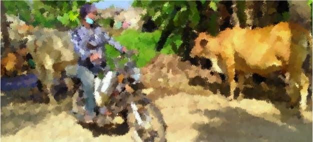 Odisha dairy farmers’ body demands milk MSP at Rs 50 per litre