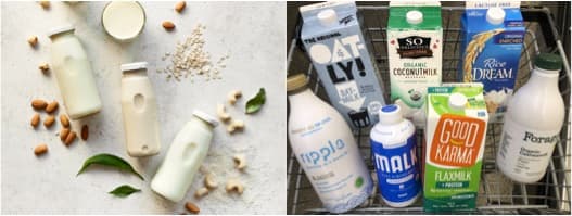 Why Plant-Based Beverages Market is Gaining Popularity