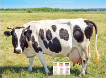 Plant-based beverages are no match for bovine milk
