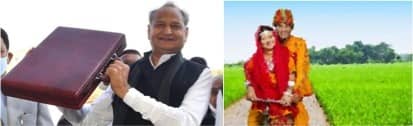 Rs 5 per liter of subsidy on milk to dairy farmers in Rajasthan