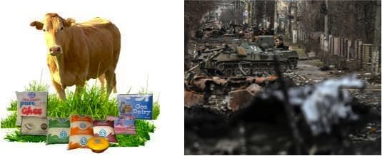 Ongoing Russia-Ukraine conflict has led to financial losses to Goa Dairy