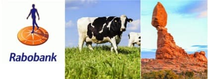 Global dairy markets “teetering on the edge” – Rabobank