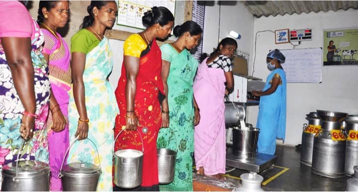 Dairy cooperative societies will help empower women in AP state