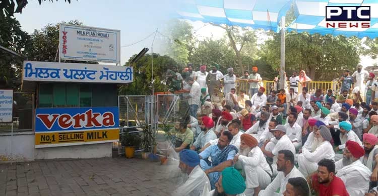 Punjab dairy farmers to go on indefinite dharna from Aug 24