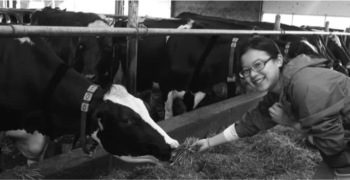 China’s Dairy Industry – Market Trends and Opportunities