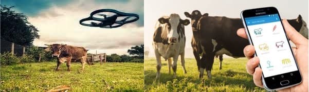 Department of Animal husbandry and Dairying- Dairy going hi-tech