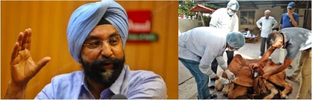 Only 0.25% drop in milk collection’-Amul’ MD dispels fears about LSD