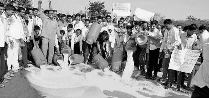 Dairy farmers in Maharashtra are demanding fair prices for their milk