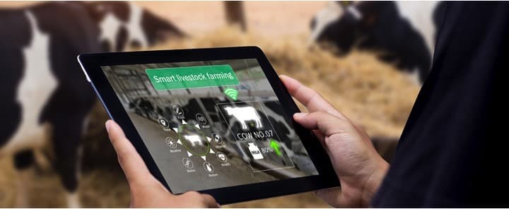 Application of ICT for transfer of technology in Dairying