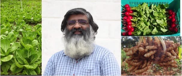 Akshayakalpa Organic forays into organic F&V with ‘Greens’