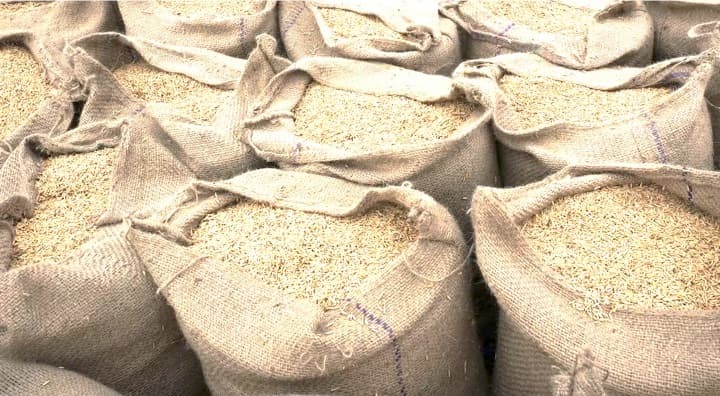 India extends ban on de-oiled rice bran export by four months