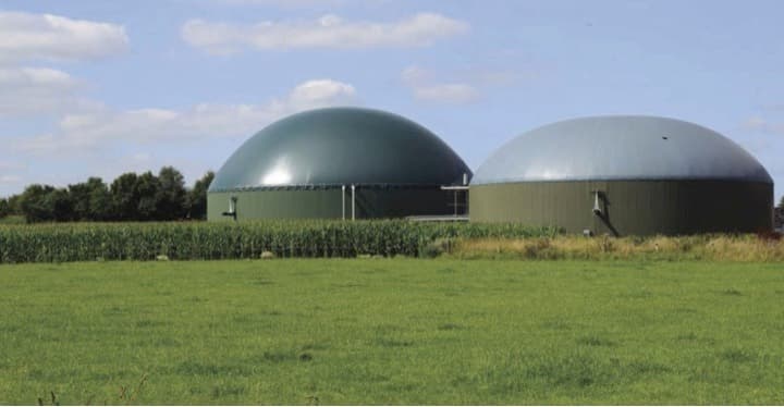 Cows are not the problem, but they are part of the solution in GHG emissions.