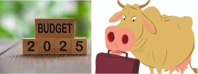 Livestock and dairying may get 20% hike in FY 25 budget
