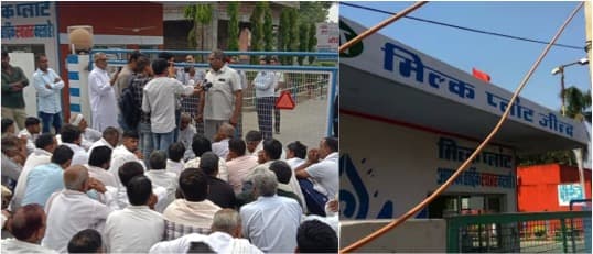 No milk payment, Jind co-op society operators on strike