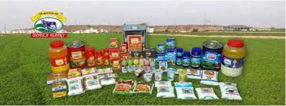 Dodla Dairy Q4 FY23 Net Sales up 22.82% Y-o-Y
