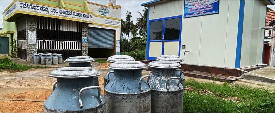 Dairy farmers seeking probe into cattle feed supply