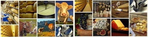 India’s food exports rose by 25% to $1,3771 million in first half of FY 23