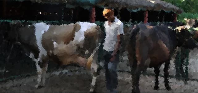 Dairy farmers to get Rs 4 /Ltr of milk more till March 2023 in Kerala