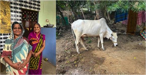 My smiles are as fake as your promises-Lakhpati Didi