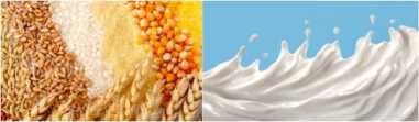 Inflation in Feb 6.44% on prices of cereals, milk