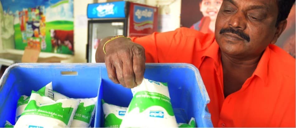 Milk production improves in recent weeks