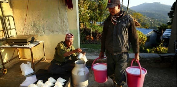 Is Nepal’s dairy sector headed for recession?