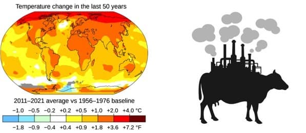 Planet Doomed:No Decrease In Record GHGs & Fuel,Cow,Cement & Steel