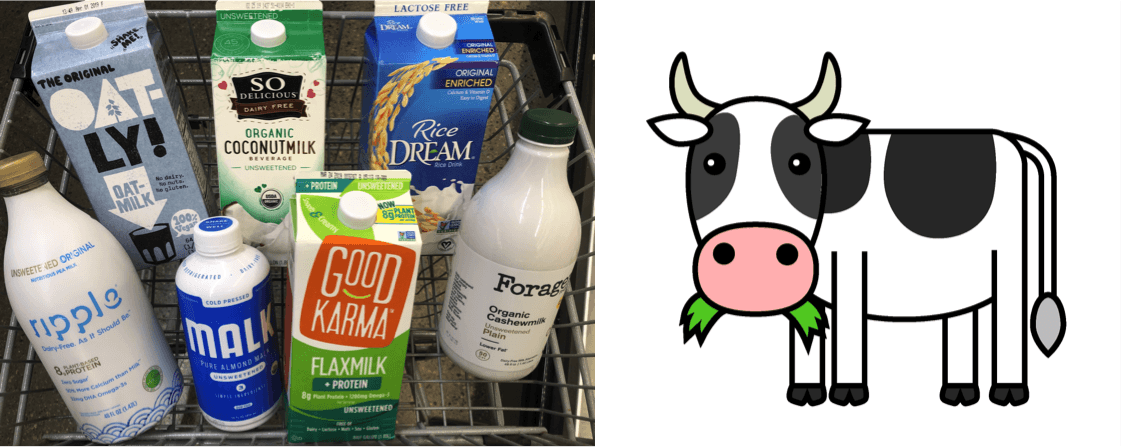 World Milk Day: Deciphering the benefits of plant-based milk