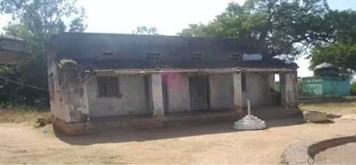 Staff crunch hits veterinary hospitals in Anantapur, Andhra Pradesh