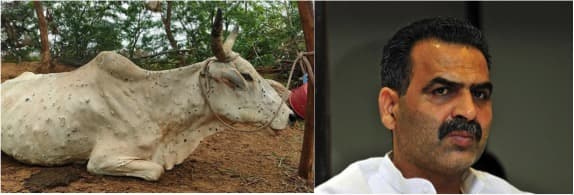 11.2-lakh cattle across 12 states in lumpy skin grip: Sanjeev Balyan