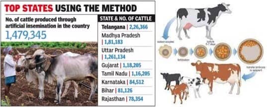 NDDB arm to launch domestic bovine sex-selection technology