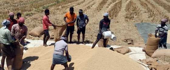 Tamil Nadu govt. to provide ₹15,500 cr. in crop and allied loans