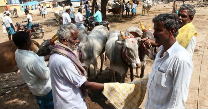Cash restrictions for LS poll hits century-old cattle market in Vellore