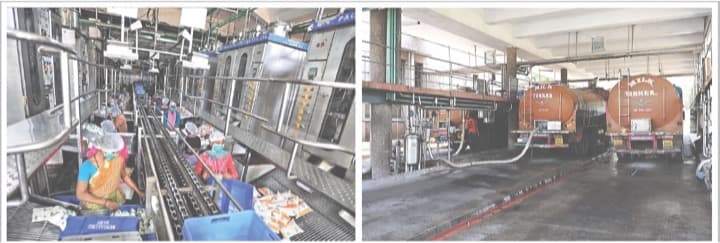 KMF’s daily milk procurement dipped by 15.4 lakh litres since June