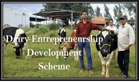 NABARD announces DEDS scheme for this year