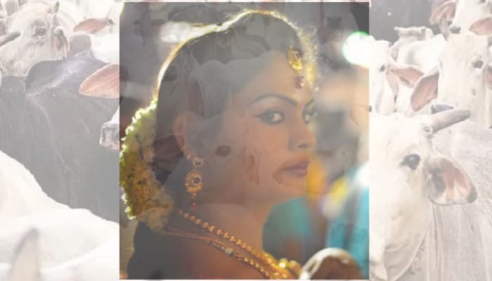 Transgenders in Thoothukudi get their Dairy cooperative in Tamil Nadu