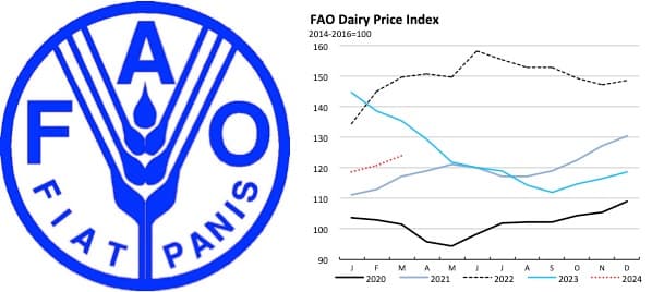 FAO Dairy Price index on the up in March 2024