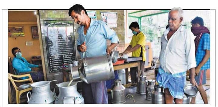Milk inflation at a 7.5-year high, prices are lower in the south