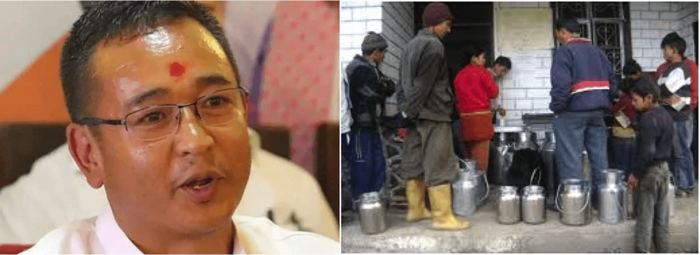 Rs 8 per liter incentive to dairy farmers in Sikkim : CM Sikkim
