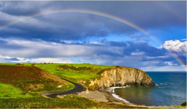 Impact of wet weather on EU dairy market outlook