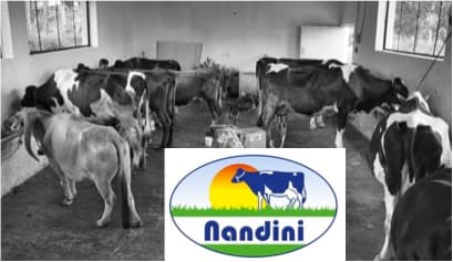 Karnataka Milk Federation urges government to release ₹5 milk subsidy to dairy farmers