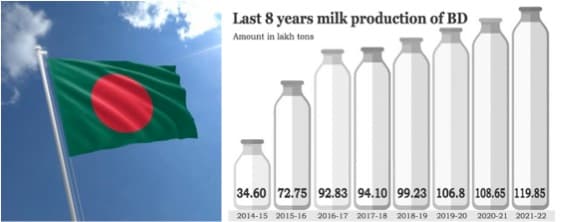 Milk production makes white revolution in Bangladesh