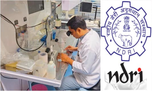 NDRI working on climate-resilient buffalo