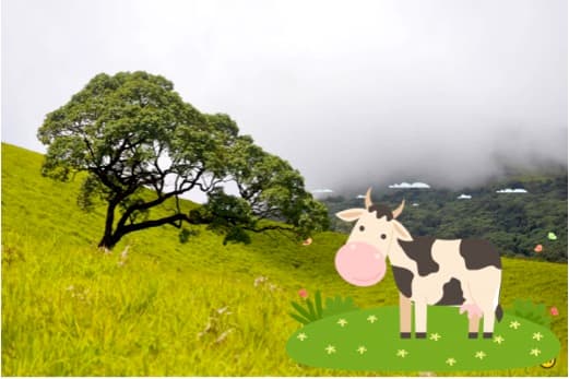 Heavy pre-monsoon showers trigger fear of milk glut in Bengaluru for KMF