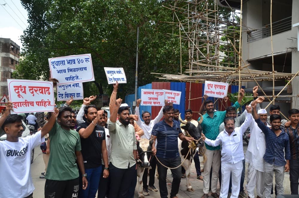 Nashik Dairy Farmers Call For Urgent Milk Price Increase