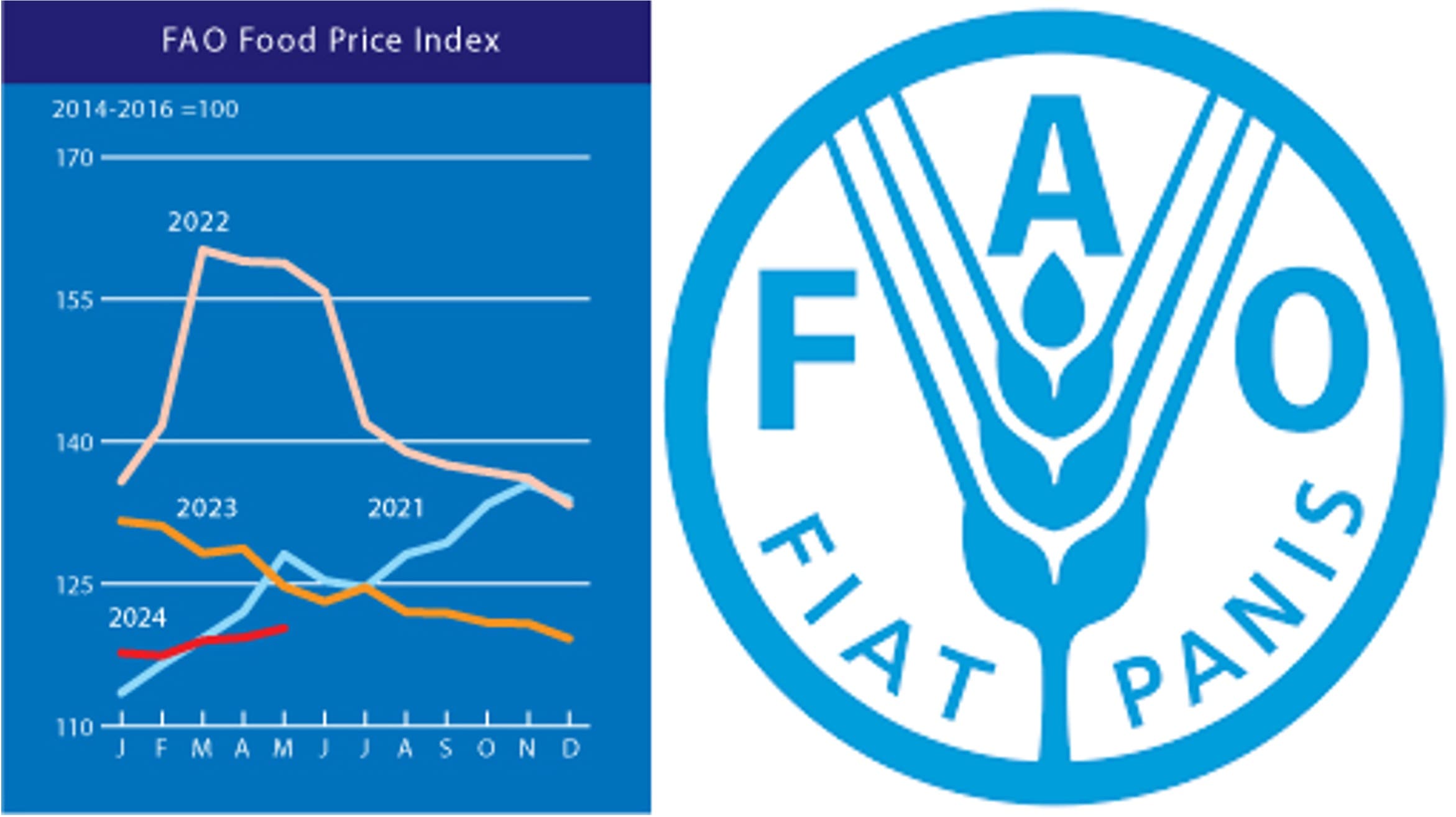 Cereals, dairy prices push FAO food price index up in May