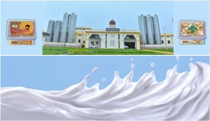 White wave: Milk procurement glut poses challenge to Mysuru Milk Union Ltd