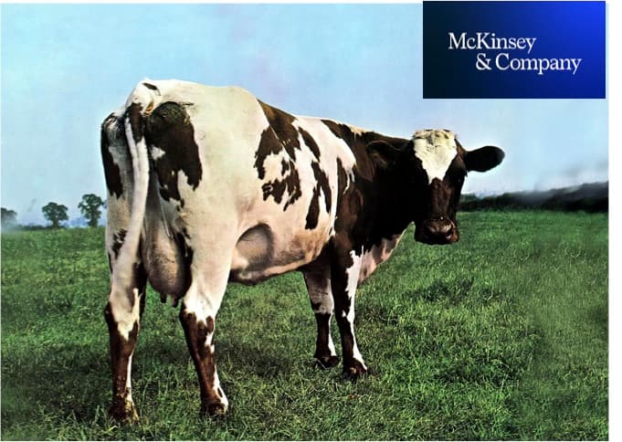 McKinsey: US Dairy Sector Focus on Sustainability Challenge